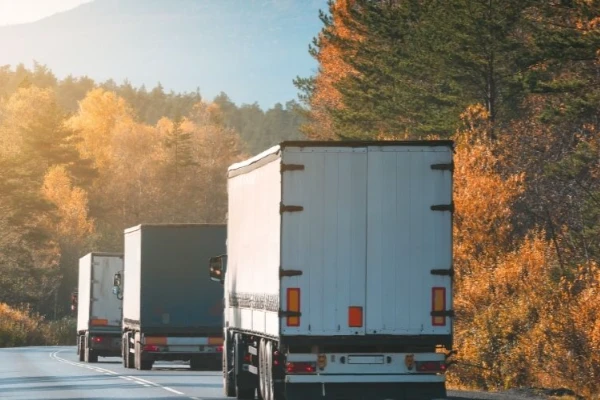 Ankara Adalar Nakliyat